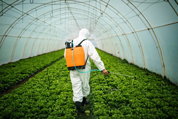 Best Residential Pest Control  in Demorest, GA